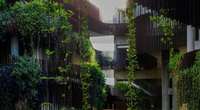 Sustainable Living - Domo Student